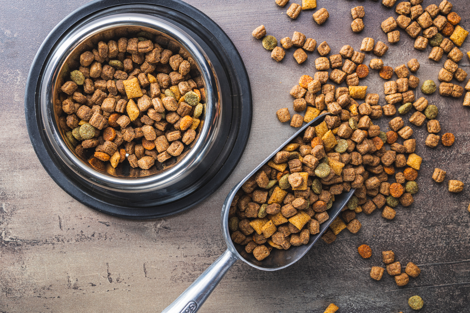 Dry kibble pet food. Dog or cat food on old table.